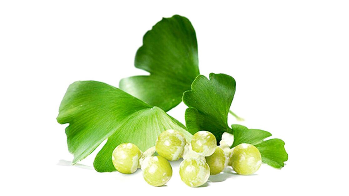 Ginkgo biloba στο Osteflex